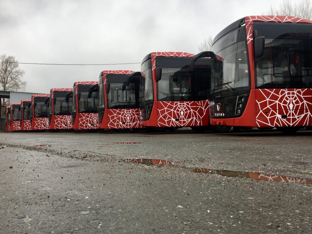 Новые автобусы НЕФАЗ для Перми